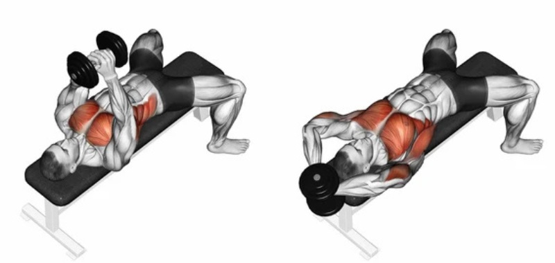 Bài tập Dumbbell Pullover