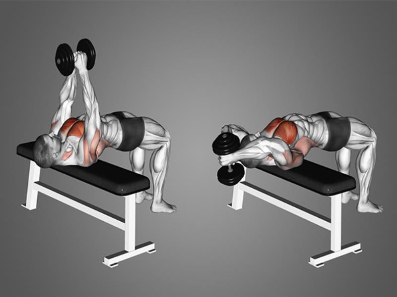 Bài tập dumbbell pullover