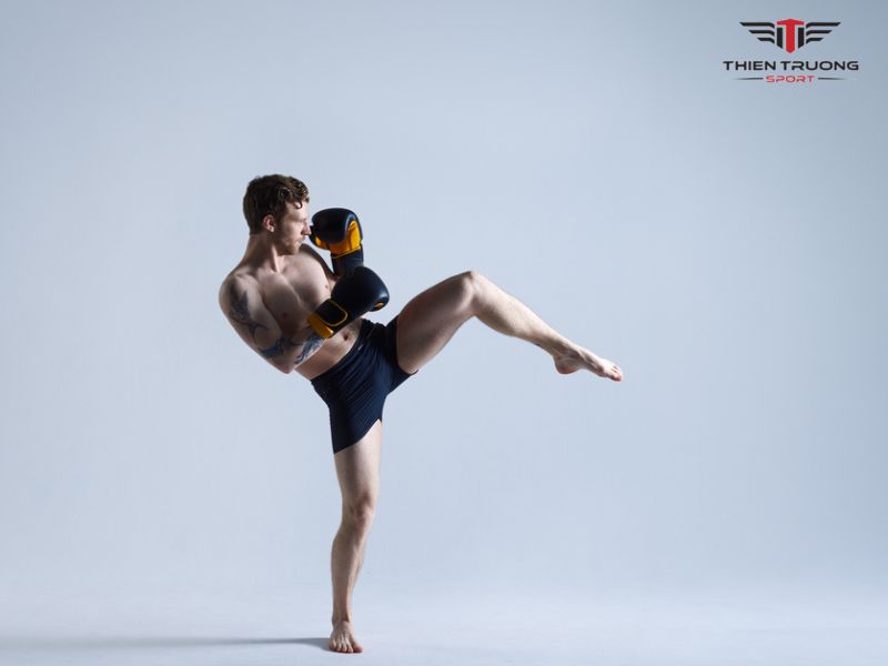 Bài tập Side Kicks