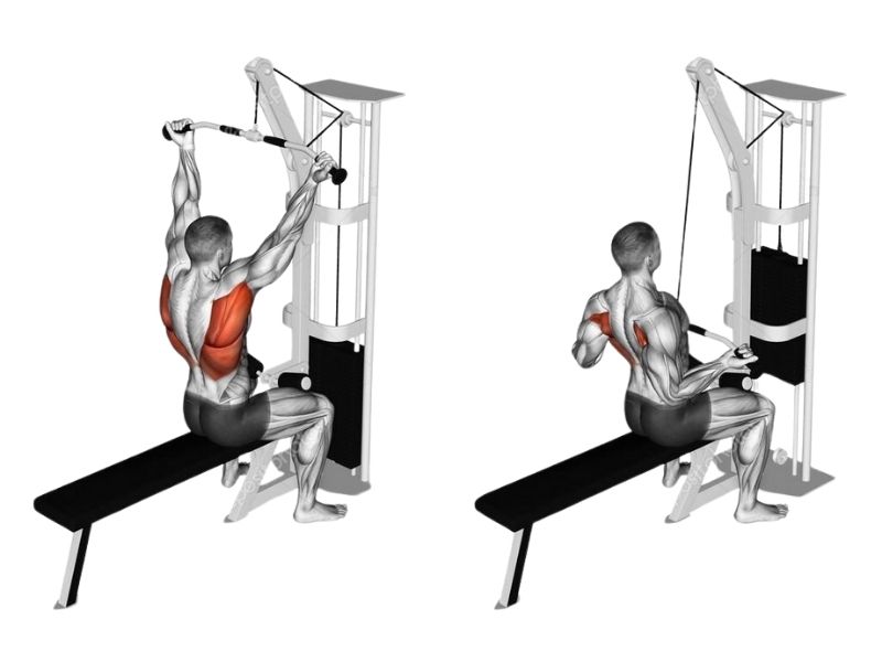 Reverse Grip Lats Pulldown là bài tập ngồi kéo cáp tập trung vào cơ xô