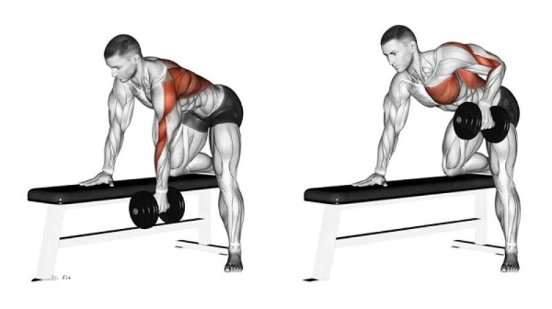 Bài tập one arm dumbbell row