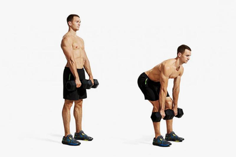 Bài tập stiff legged dumbbell deadlift