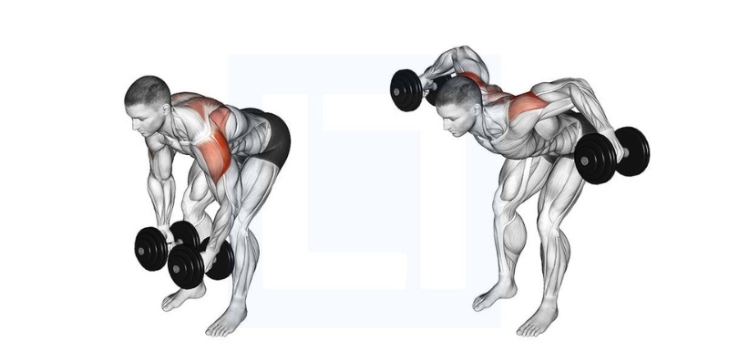 Bài tập Standing Bent Over Lateral Raise