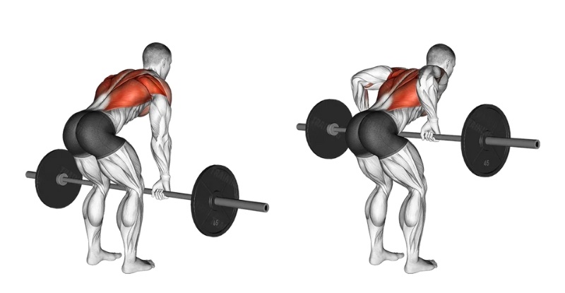 Bài tập Bent-Over Barbell Row