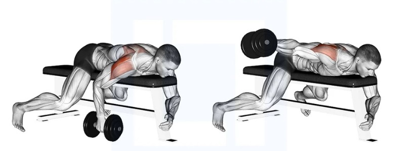 Bài tập Dumbbell Lying One-Arm Rear Lateral Raise