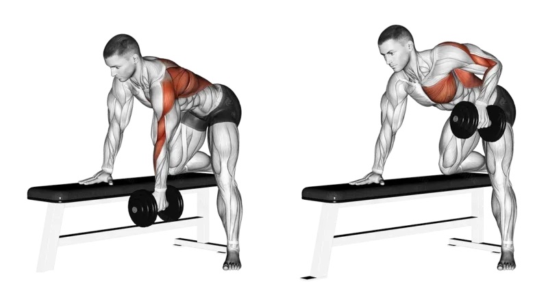 Bài tập One-Arm Dumbbell Row