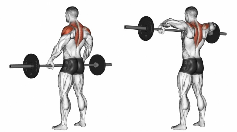 Bài tập Barbell Upright Rows