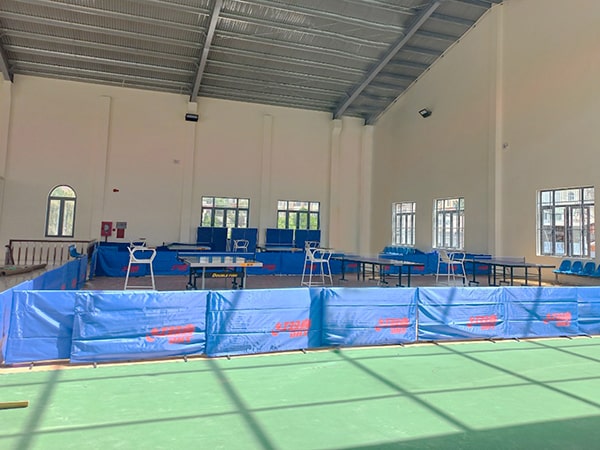 Bàn bóng bàn Song Ngư 233