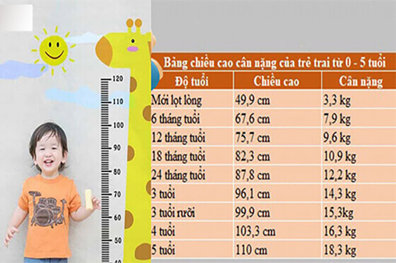 Bảng chiều cao cân nặng của trẻ 4 tuổi