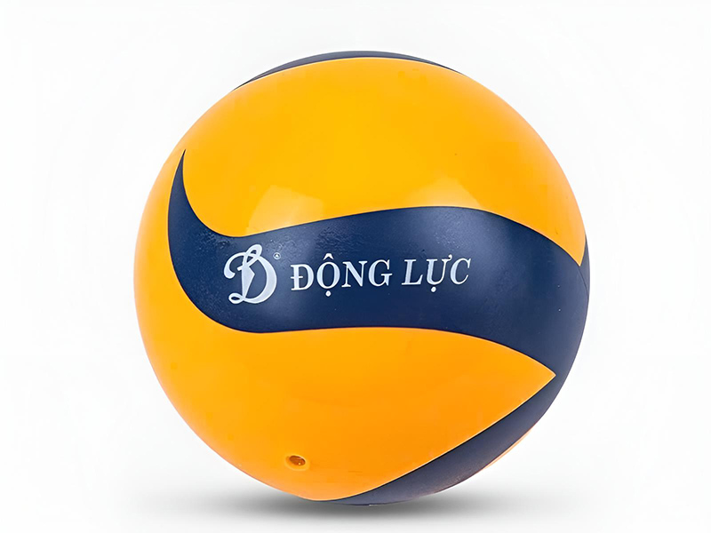 Bóng chuyền hơi hoa xoáy DL200
