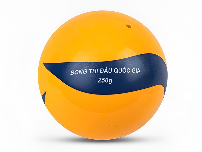 Bóng chuyền hơi hoa xoáy DL250