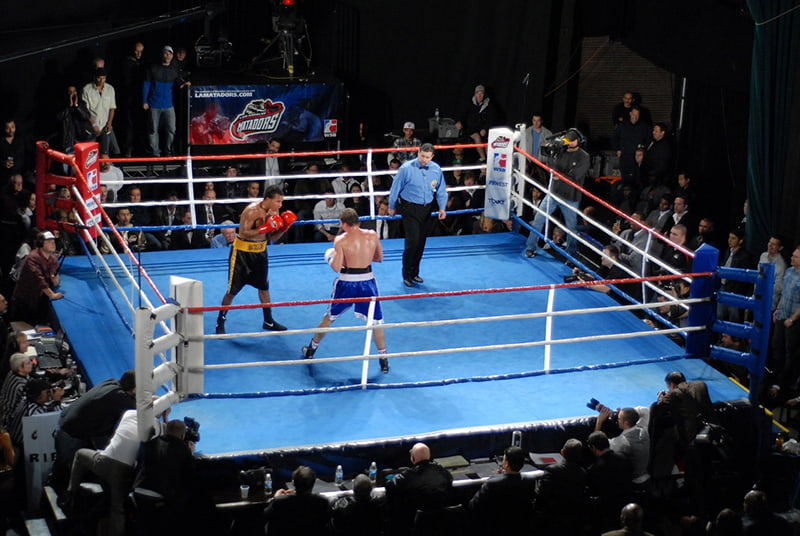 thi đấu boxing