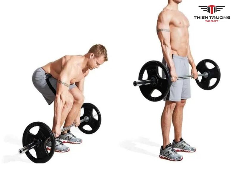 Luyện tập sức bền với tạ