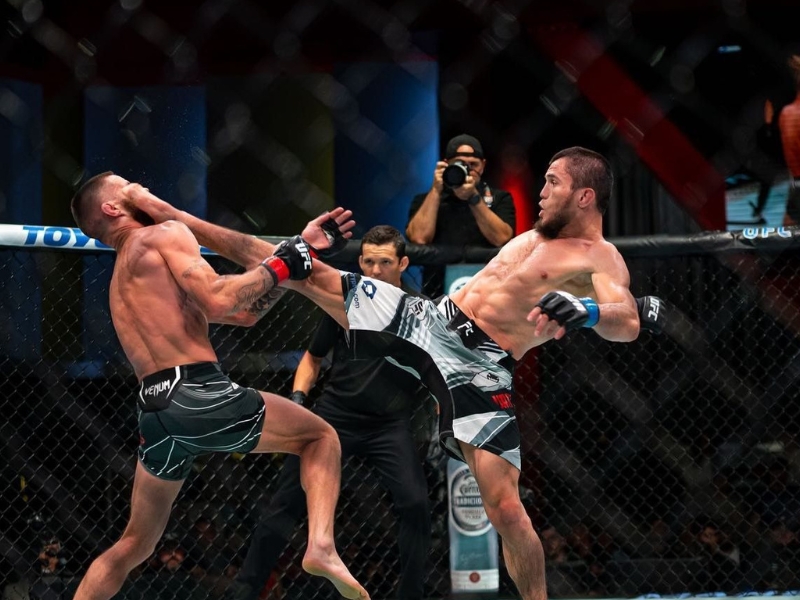 các giải đấu võ thuật thế giới