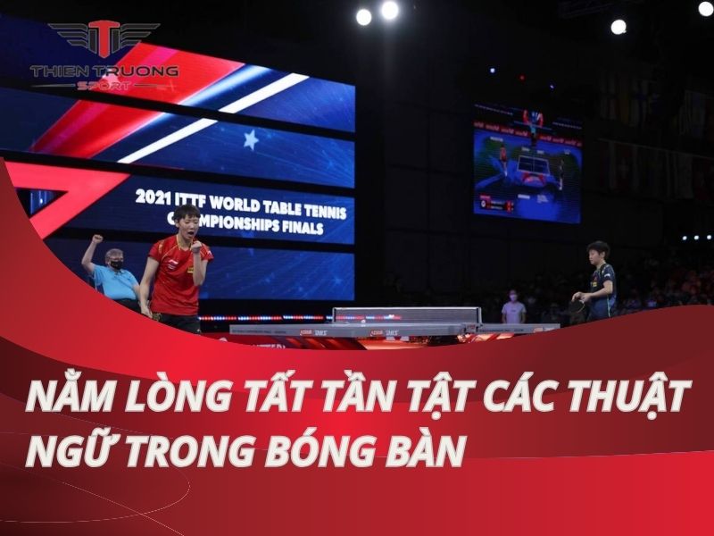 các thuật ngữ trong bóng bàn