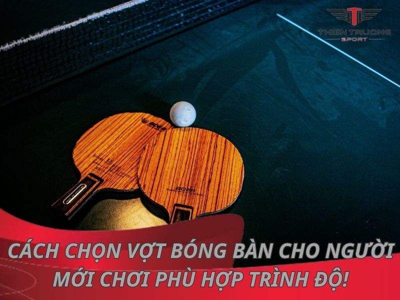 Cách chọn vợt bóng bàn cho người mới chơi