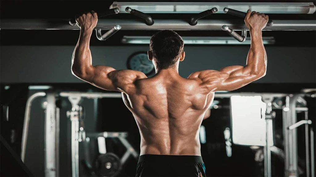 Tập xà đơn giúp bạn tăng cường cơ bắp, tăng tính linh hoạt, giảm cân, tốt cho tim mạch,...
