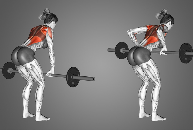 Cách tập Bent Over Barbell Row đúng kỹ thuật
