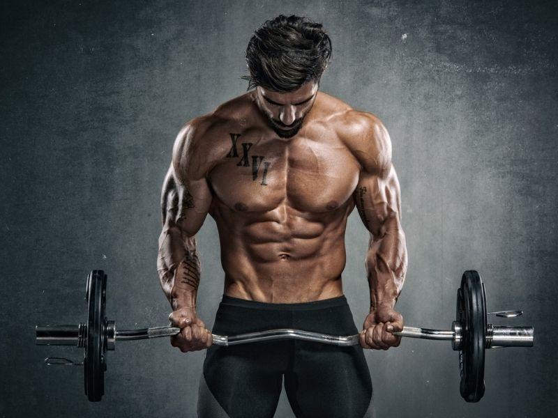 chi so chuan cua gymer