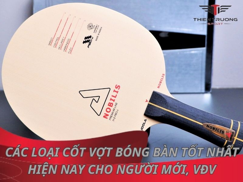 cốt vợt bóng bàn