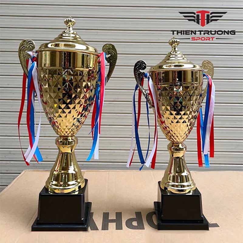 Hình ảnh thực tế cúp thể thao 3013