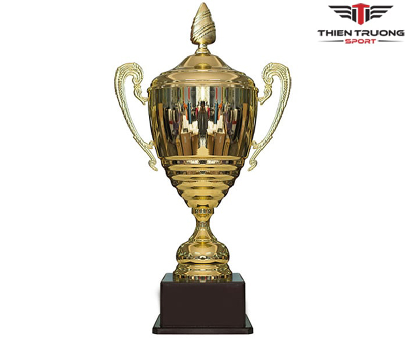 Hình ảnh Cúp thể thao 9V1109