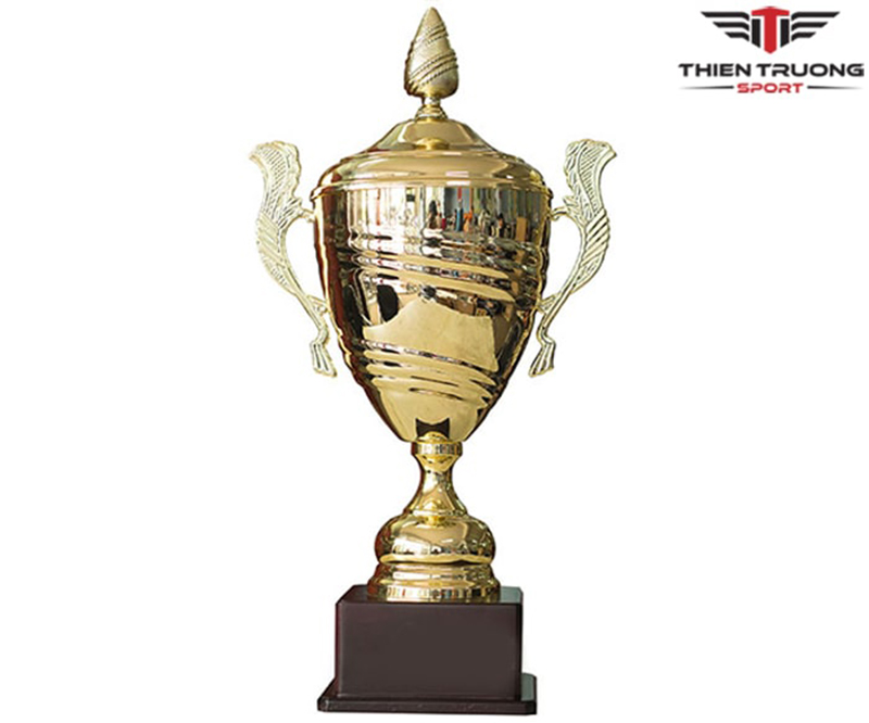 Hình ảnh cúp thể thao 9V1111