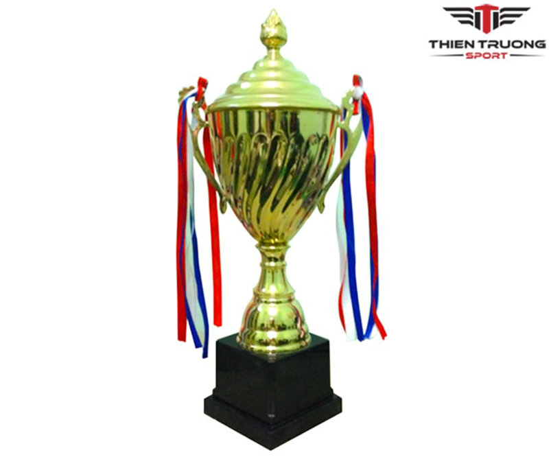 Hình ảnh cúp thể thao T3018A