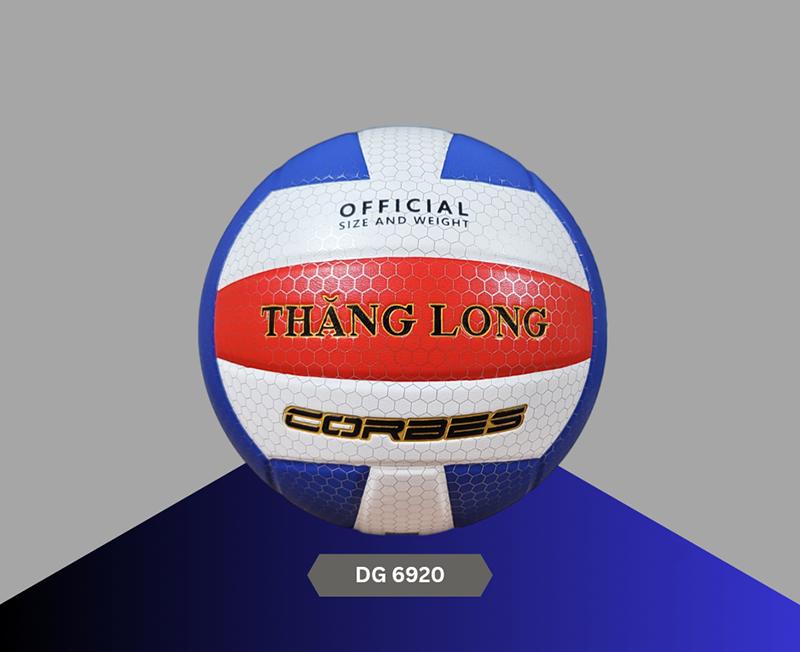 Thông tin quả bóng chuyền Dragon Master DG 6920