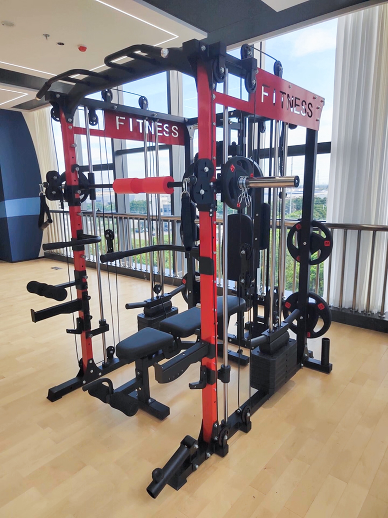 Giàn tập tạ được lắp đặt trong căn hộ chung cư