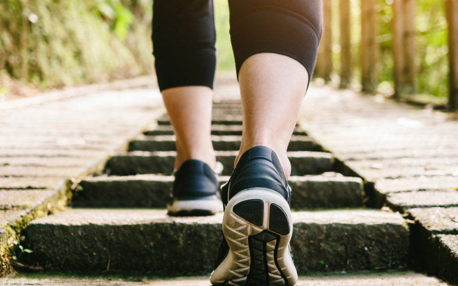 di bo bac thang 169021944132480523946 0 45 576 967 crop 1690219756595967730494