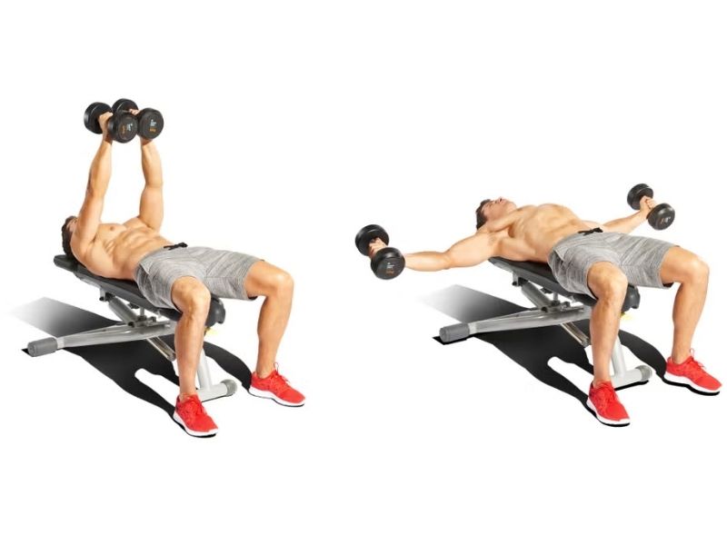 Dumbbell Fly mang lại nhiều lợi ích nổi bật, đặc biệt đối với việc phát triển cơ ngực