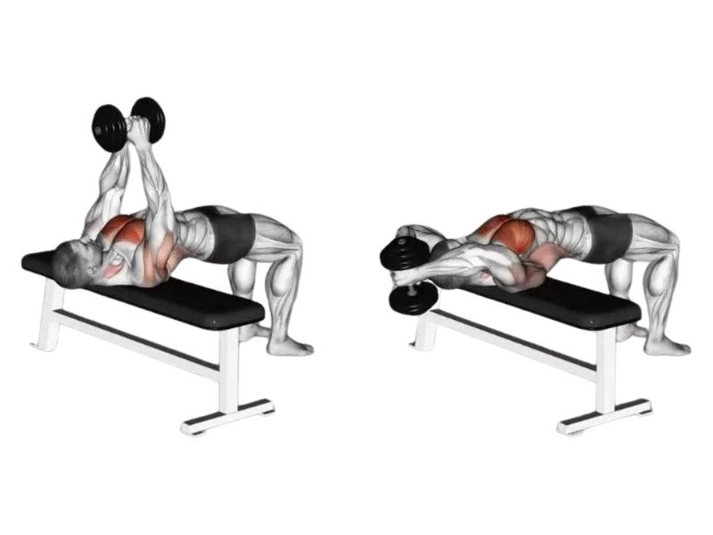 Hướng dẫn tập bài tập Dumbbell Pullover