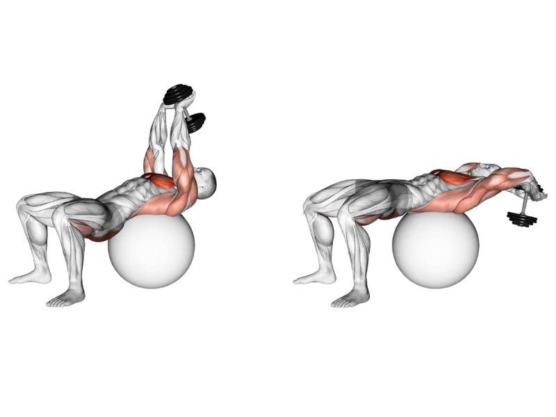 Thử các biến thể phù hợp của Dumbbell Pullover