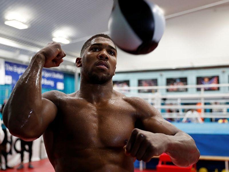 Bóng phản xạ đóng vai trò quan trọng trong boxing