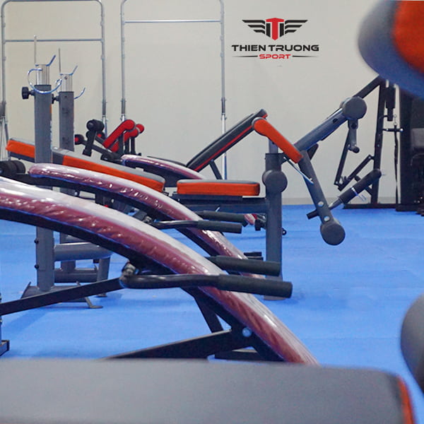 Ghế cong tập bụng Ben Pro 601003