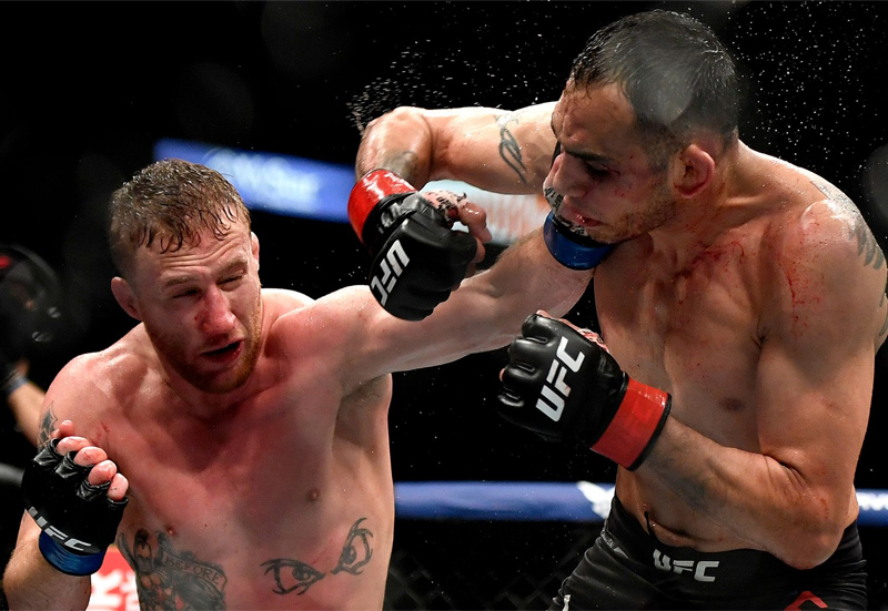 Giải đấu võ thuật UFC