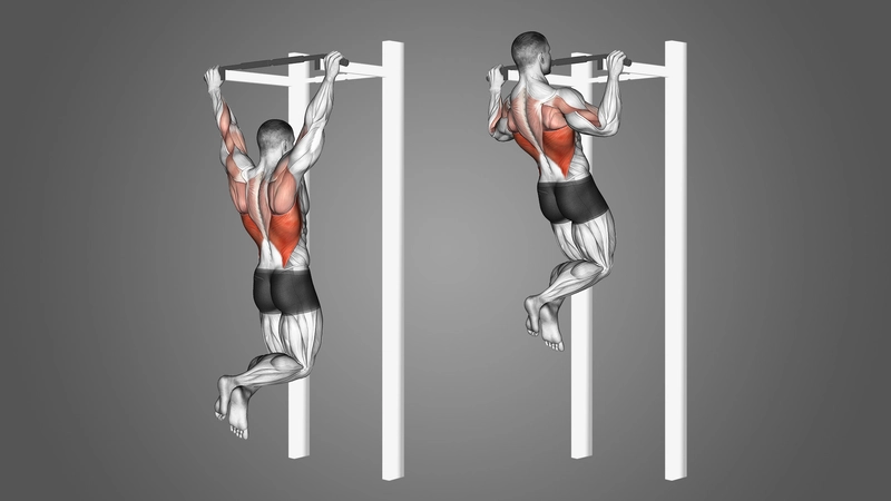 Với pull up bạn có thể tập luyện rất nhiều nhóm cơ.