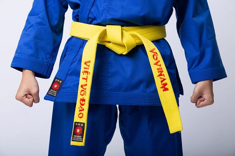 Hoàng đai trong võ Vovinam