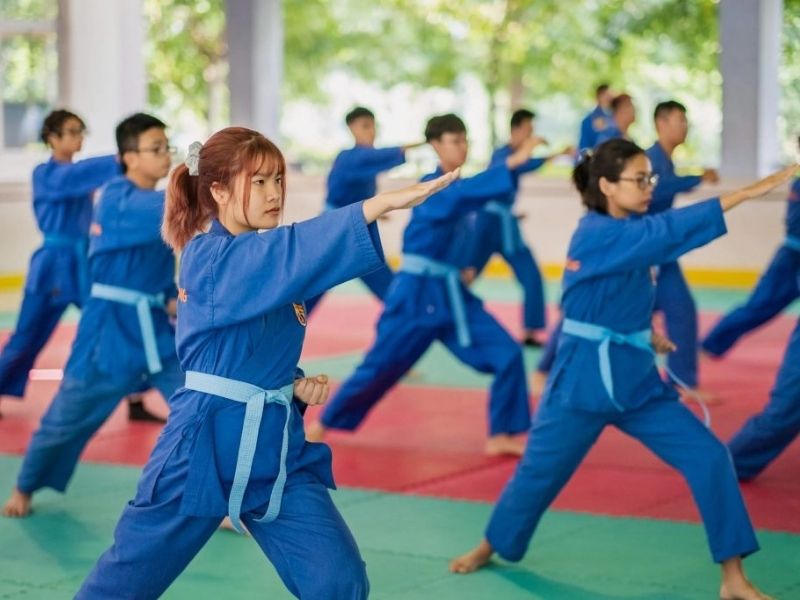 Khi học võ thuật tự vệ Vovinam, người học sẽ sử dụng đa dạng các kỹ thuật