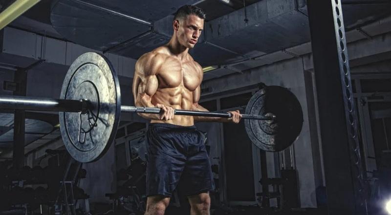 Lợi ích của các bài tập Barbell Curl