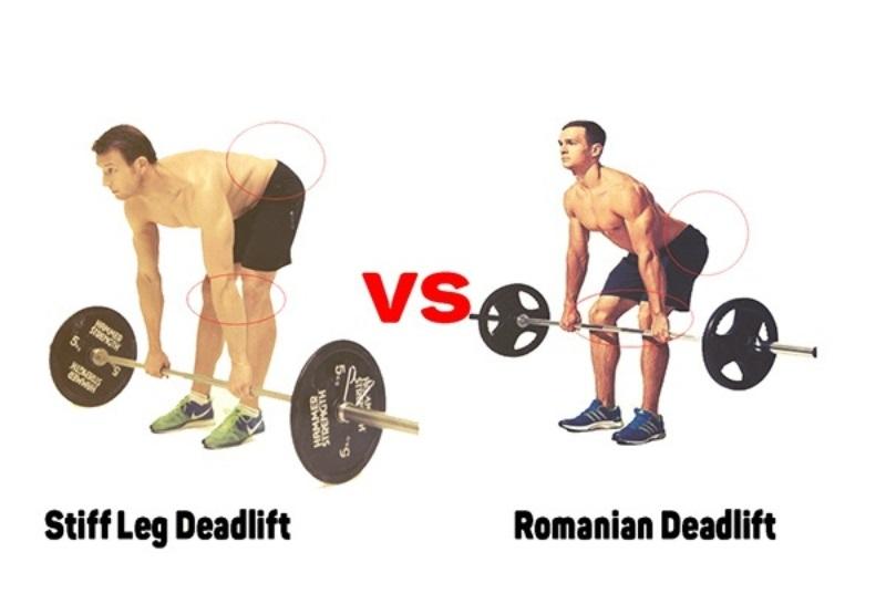 Lợi ích của bài tập Stiff Leg Deadlift luyện cơ chân