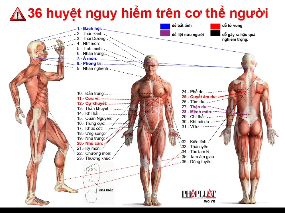 Sơ đồ 36 huyệt nguy hiểm trên cơ thể người