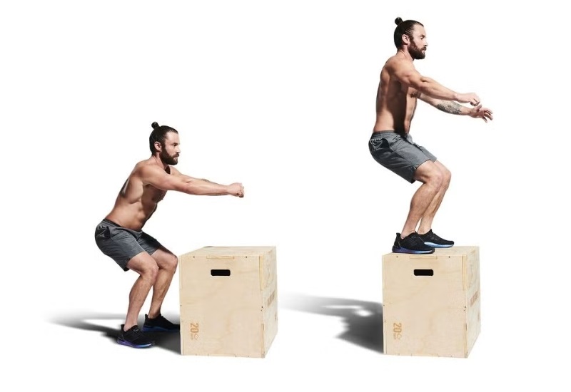 Box Jump Squat