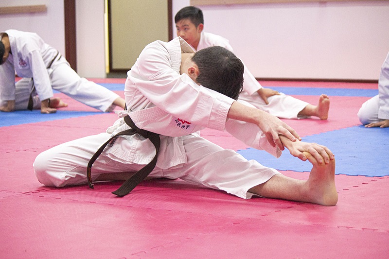 võ Karate