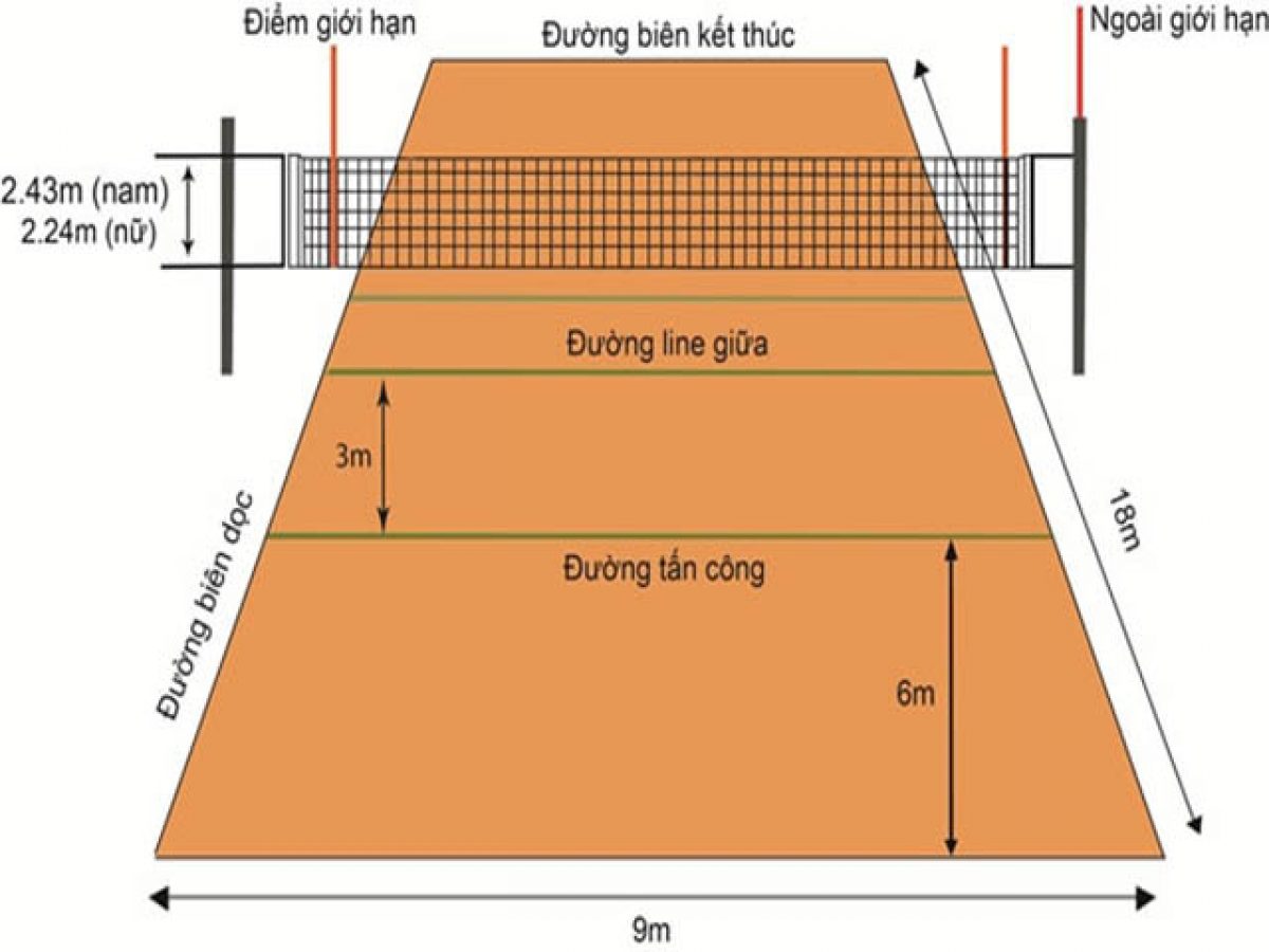 Kích thước sân đá cầu tiêu chuẩn