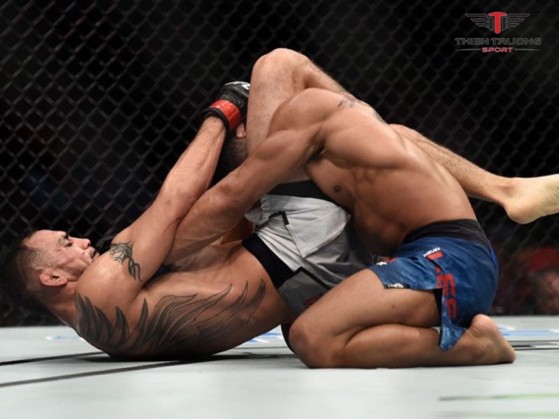 Kỹ thuật cơ bản MMA