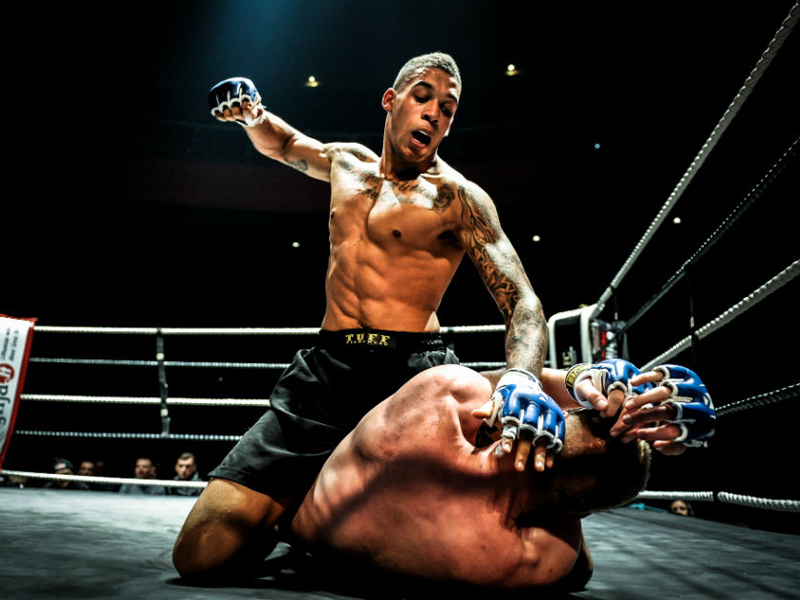 kỹ thuật cơ bản MMA