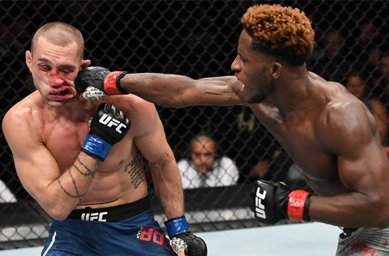 knockout là gì