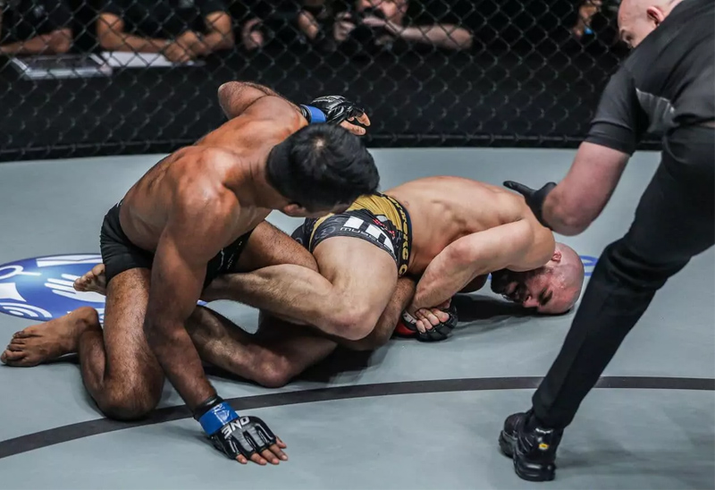 Kỹ thuật vật lộn MMA